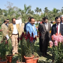 59th Annual Flower Show (February 23, 2017)