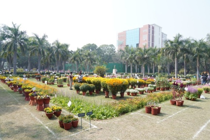 DUCC Building